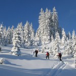 Plöschkogel