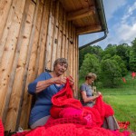 Der rote Fleck in der grünen Mark